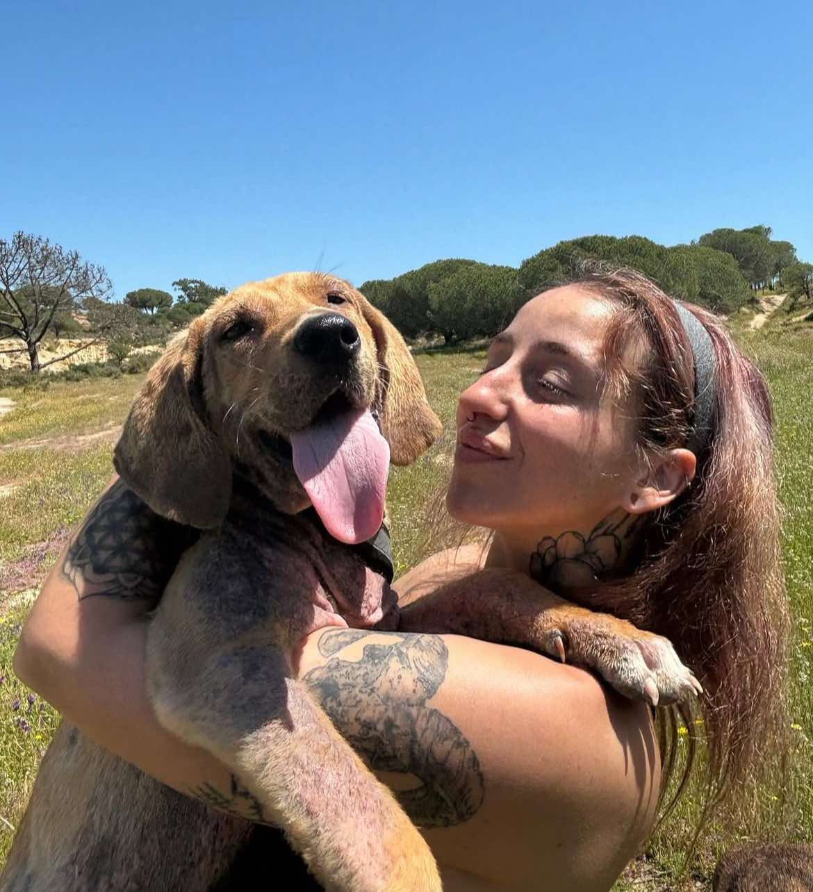 @dogmom.zoo