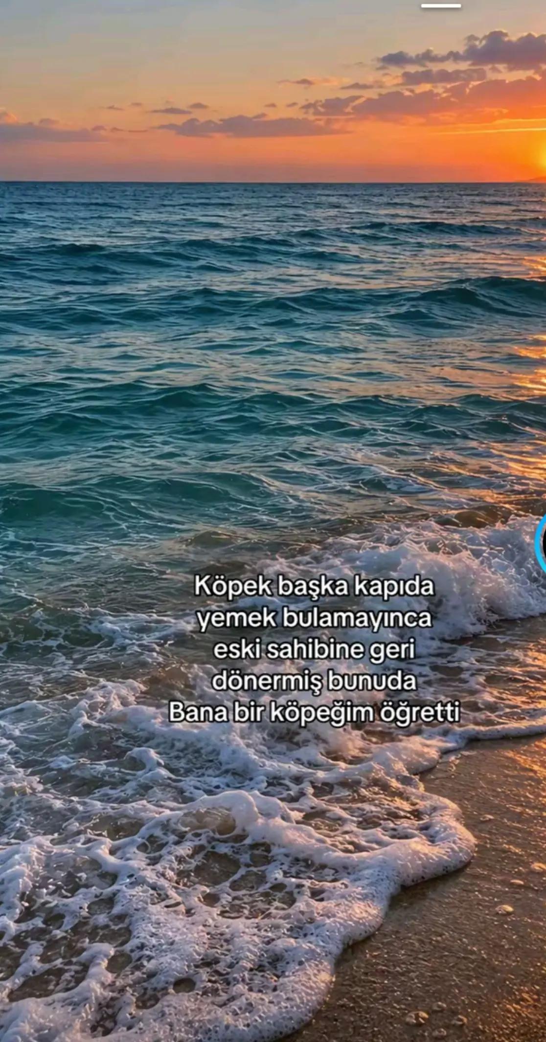 @MURAT PEKDEMİR