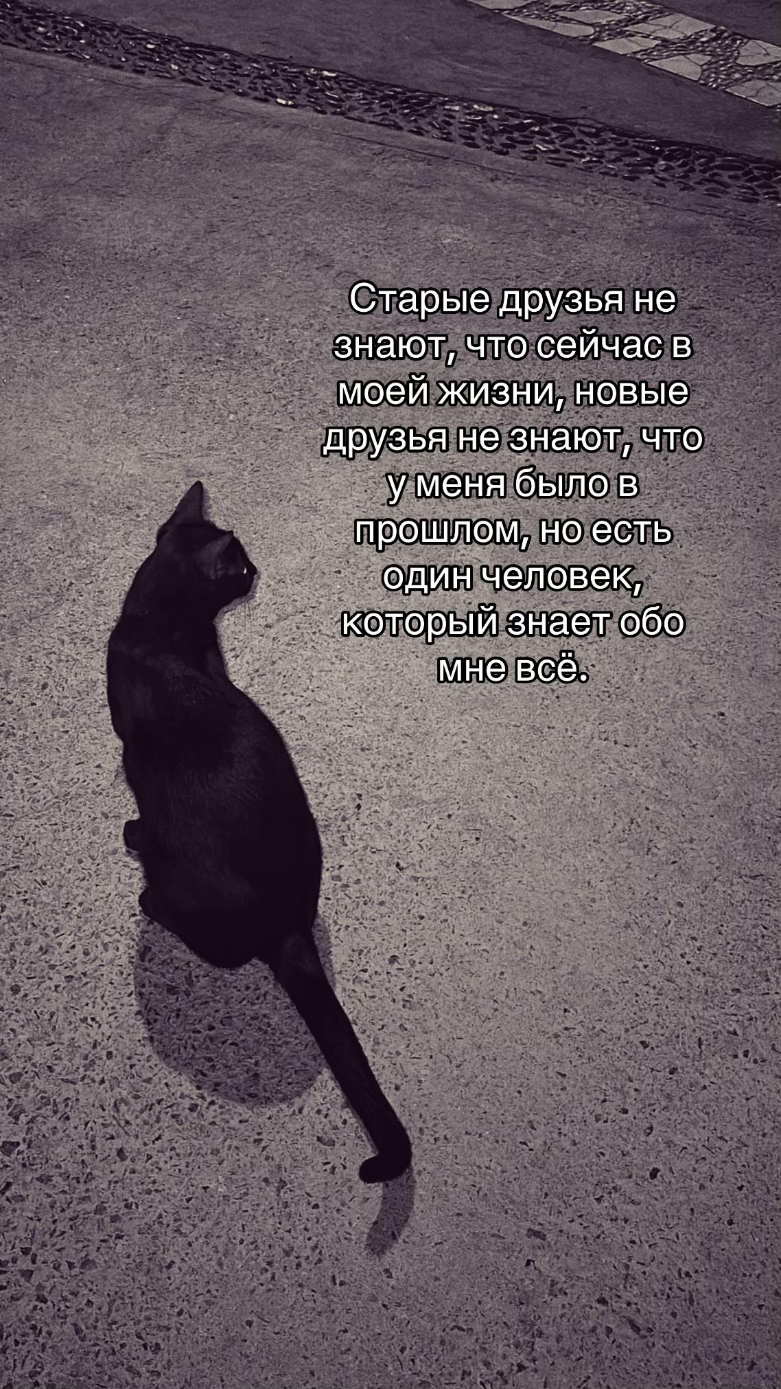 @пима