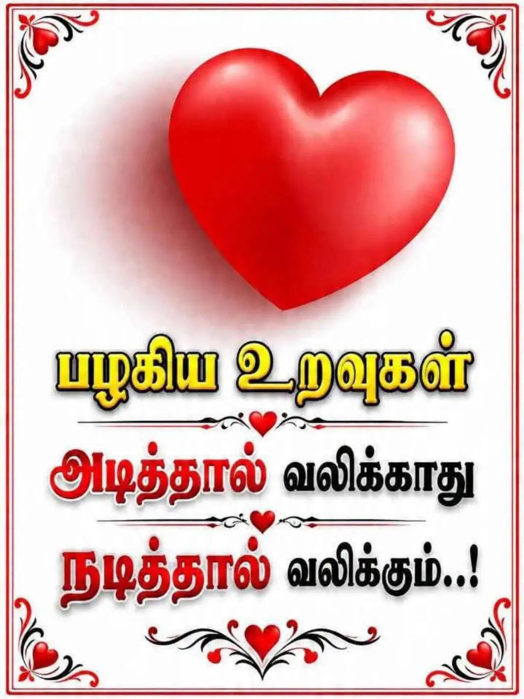 @VS தவசிஅரசன்