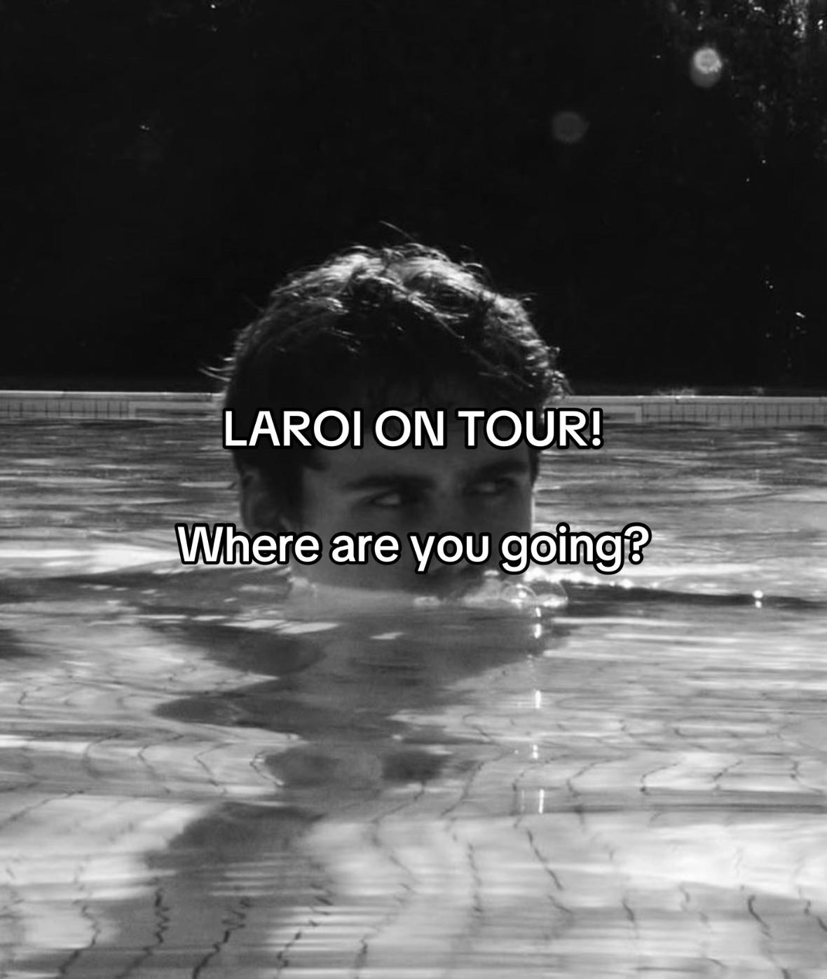 @laroisstage