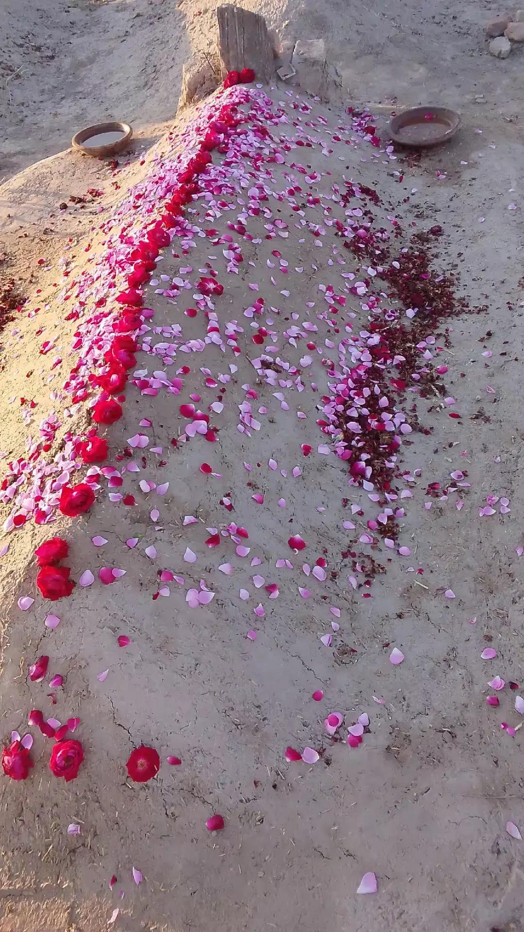 @Irfan laliya 🇵🇰