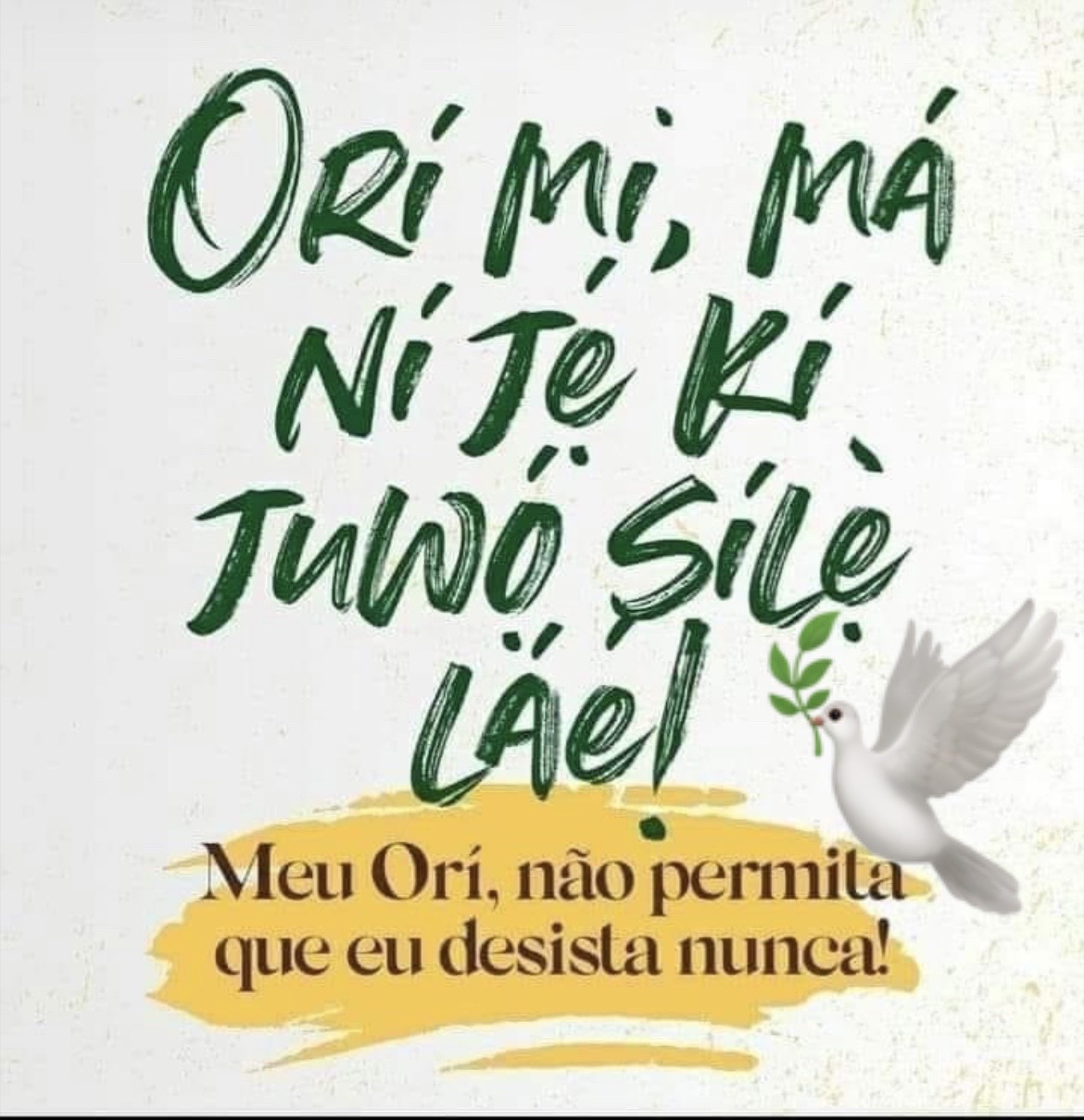@Drika😉