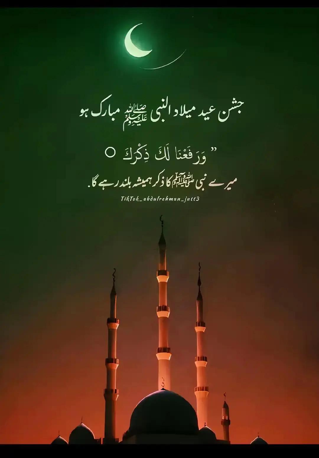 @inzamam jani