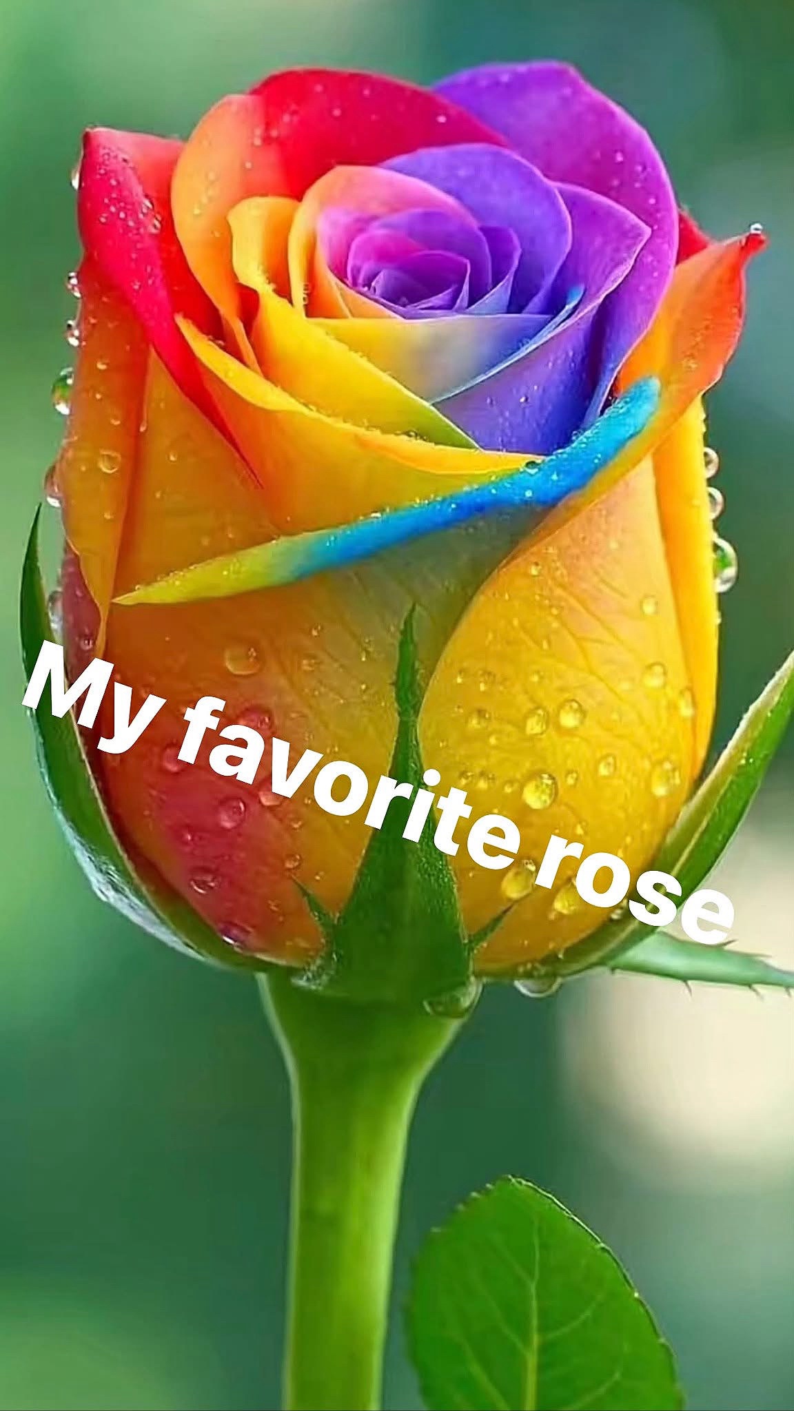 @Sassy 1 of a kind