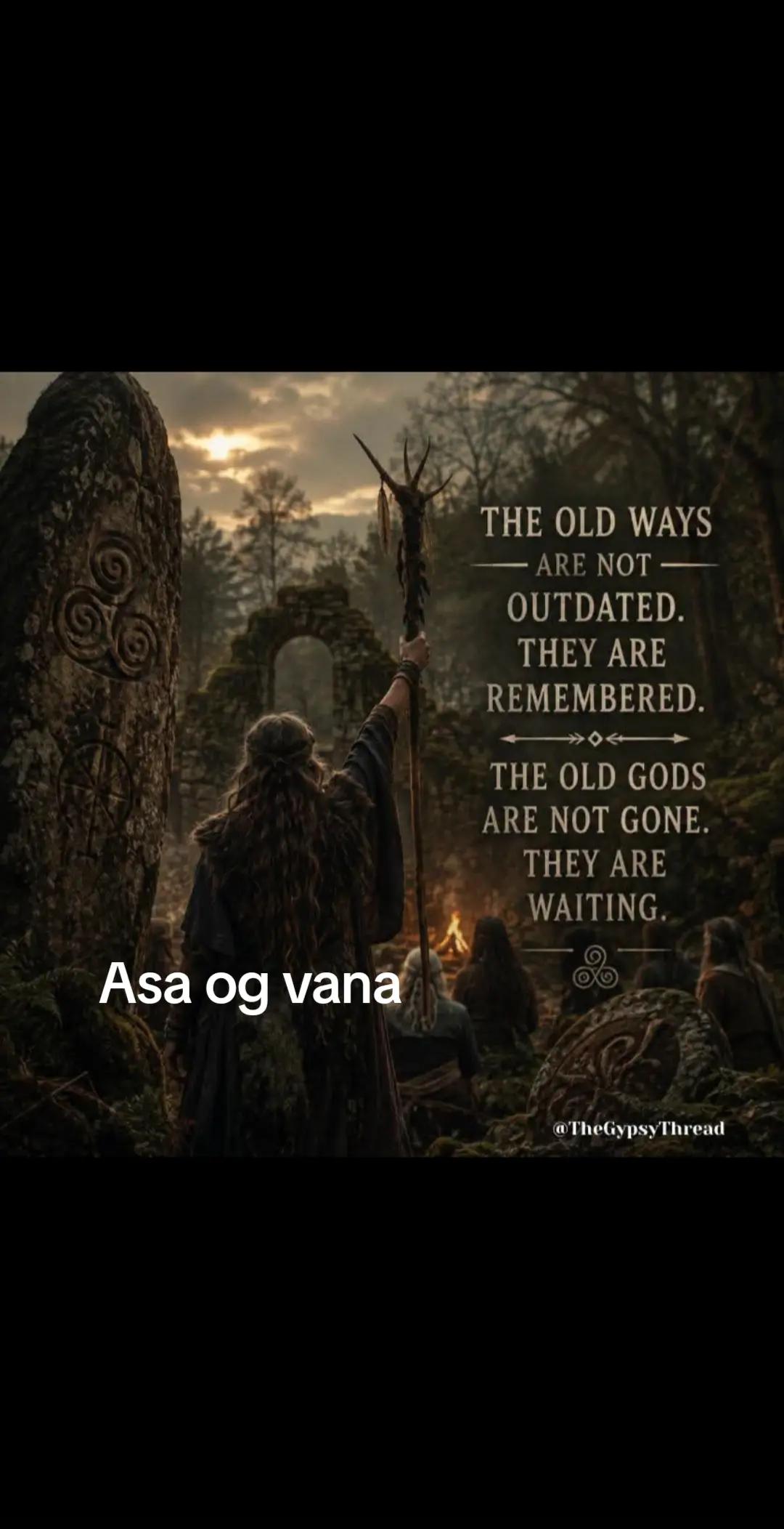 @Old man Berserker🪓Úlfheđnar