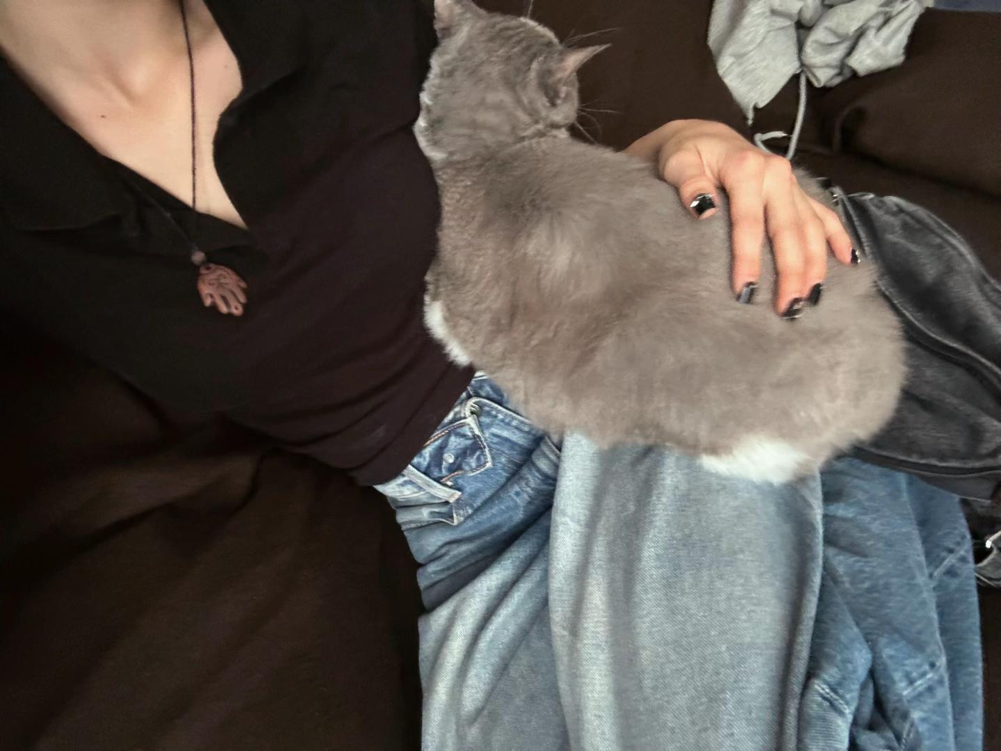@херь