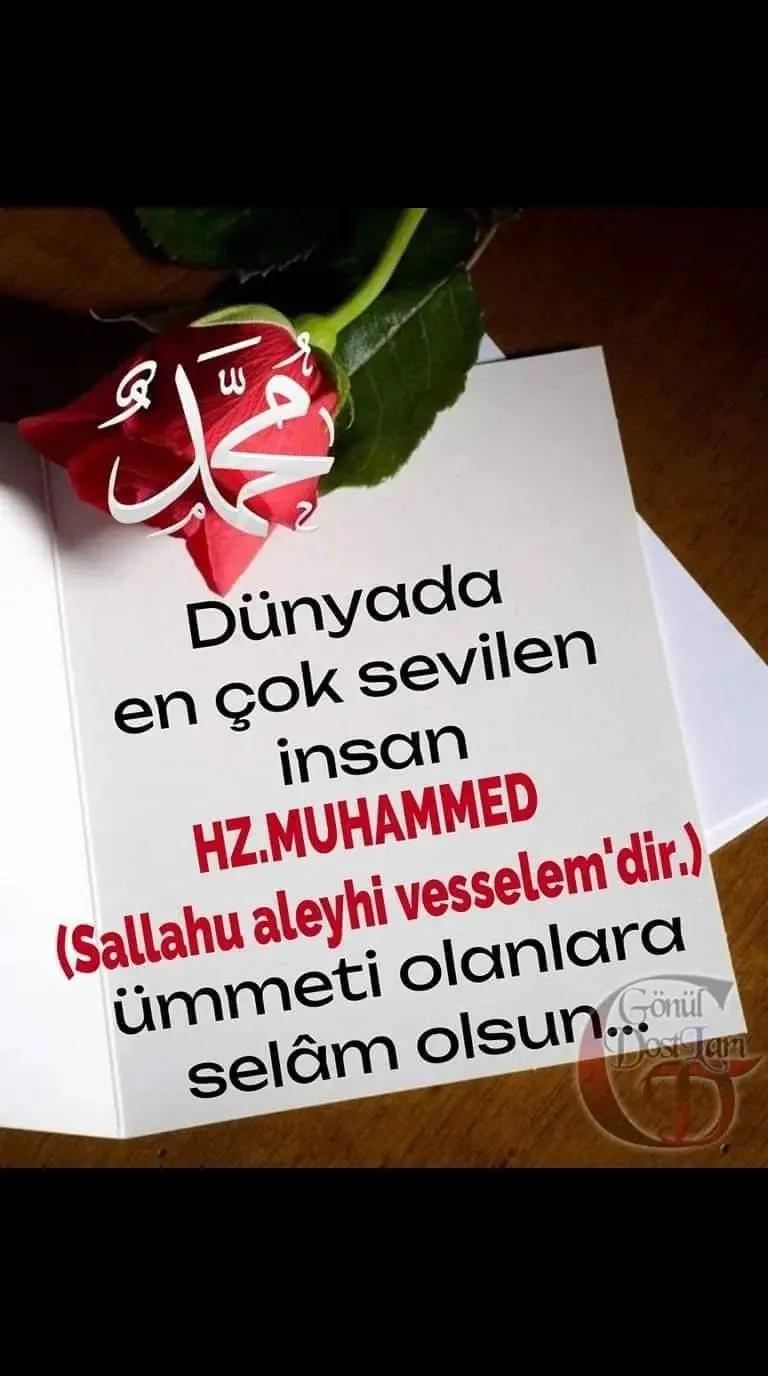 @Narsisizm