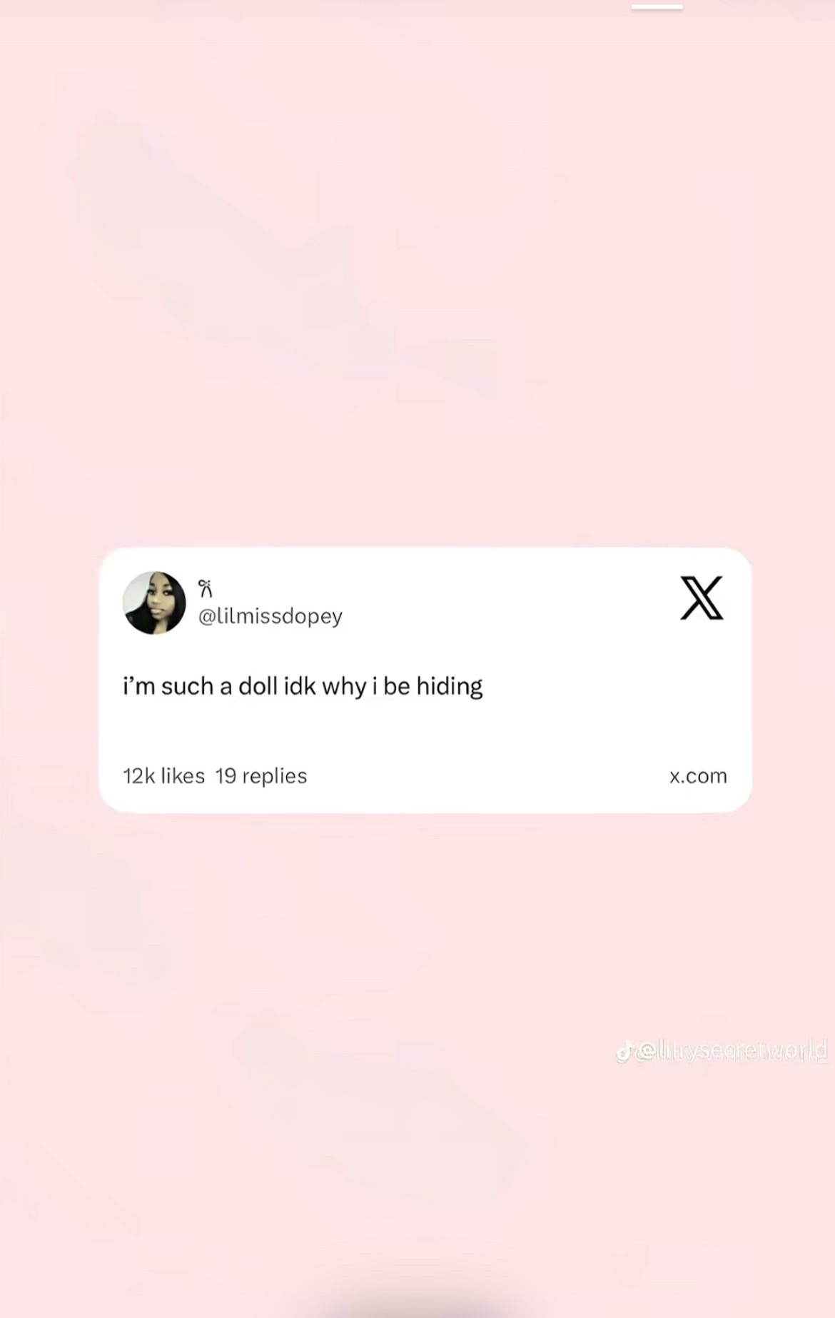 @taylorsarena