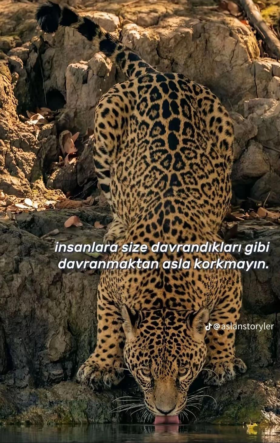 @Engin._57