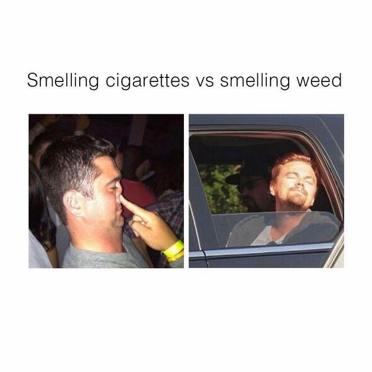 @PuffPuffPrincesses🩷👸🏽