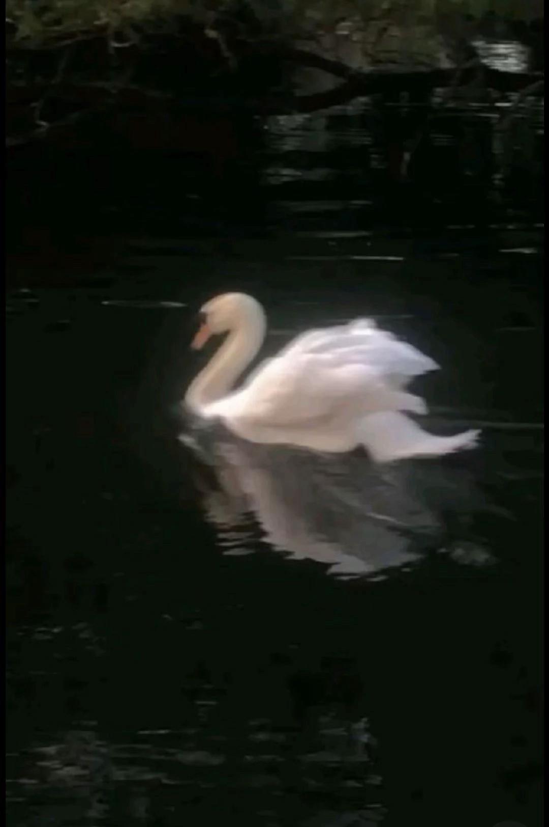 @ููู๐ฅข