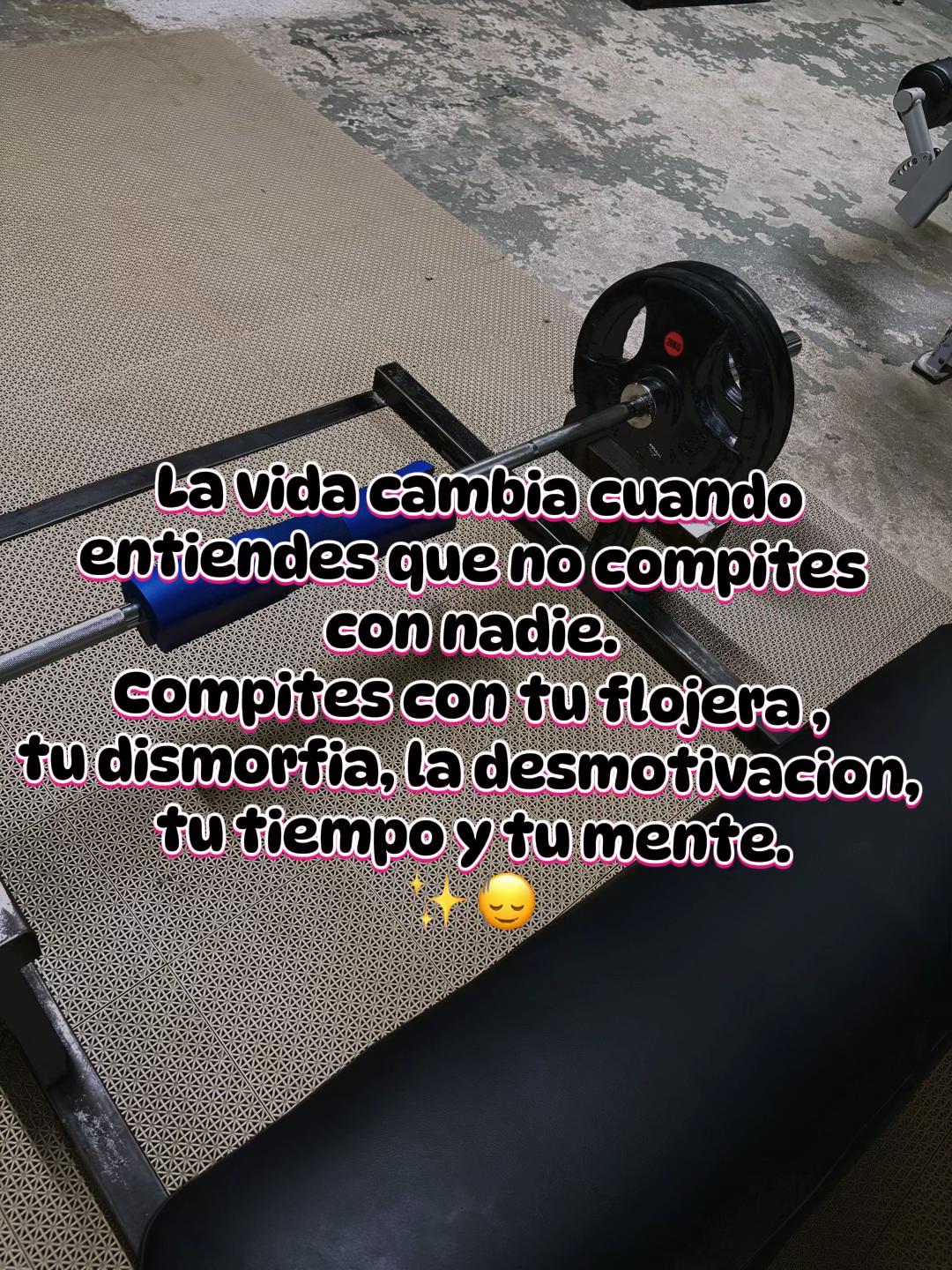 @Vivian Rivera