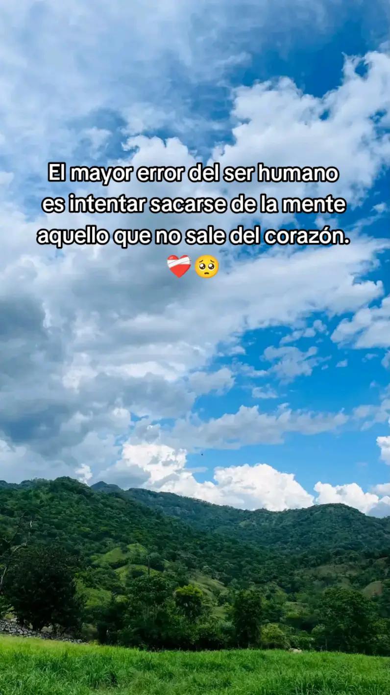@✨️🌸Luz🌸✨️