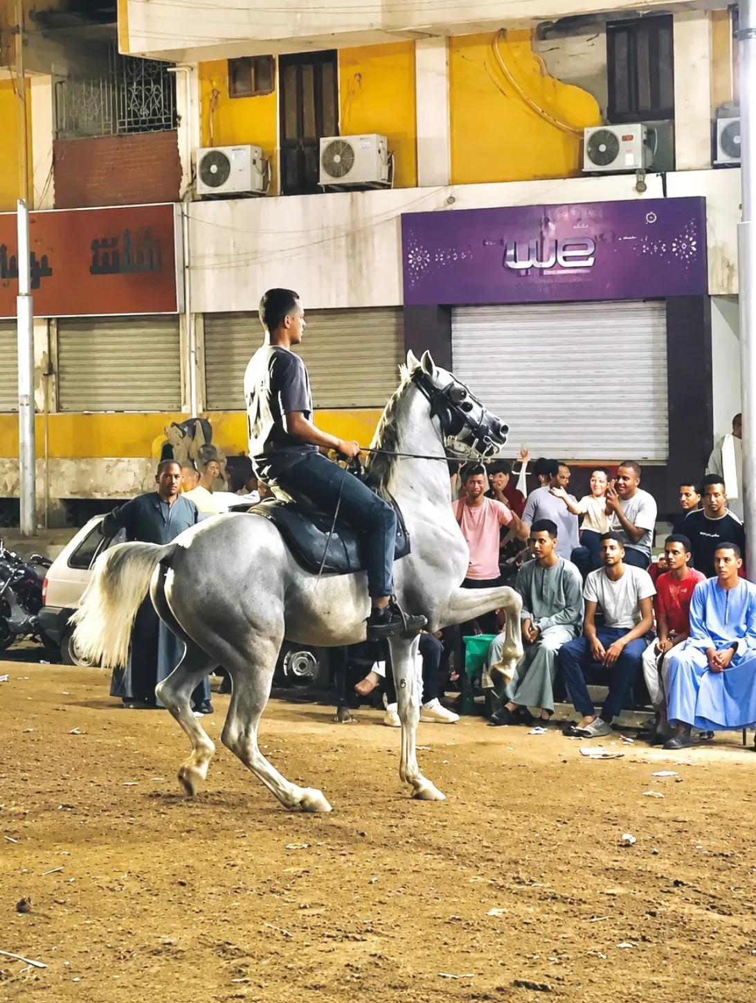 @alrawy