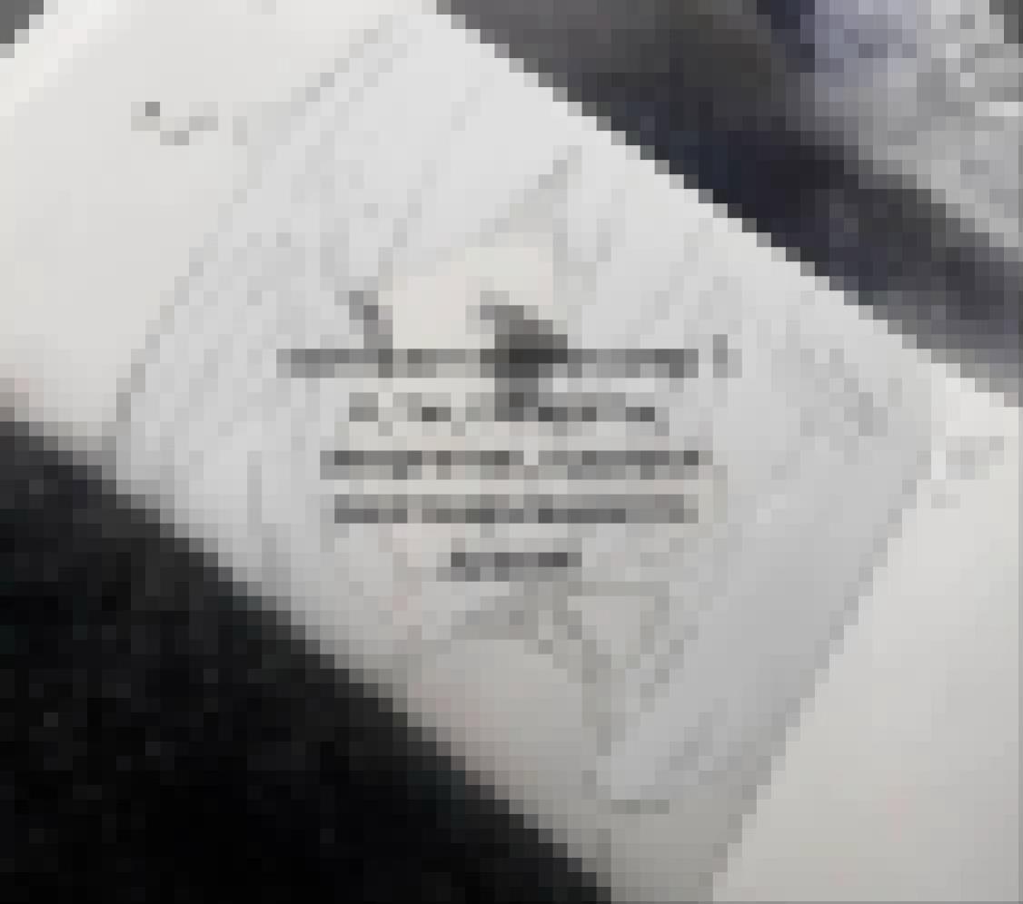 @˙𐃷˙