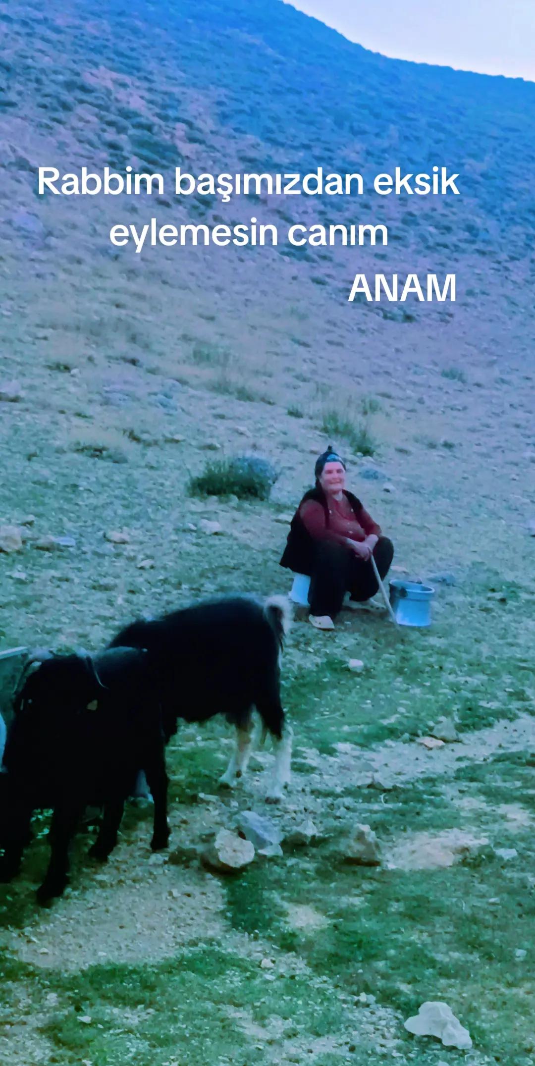@DAĞCI.46