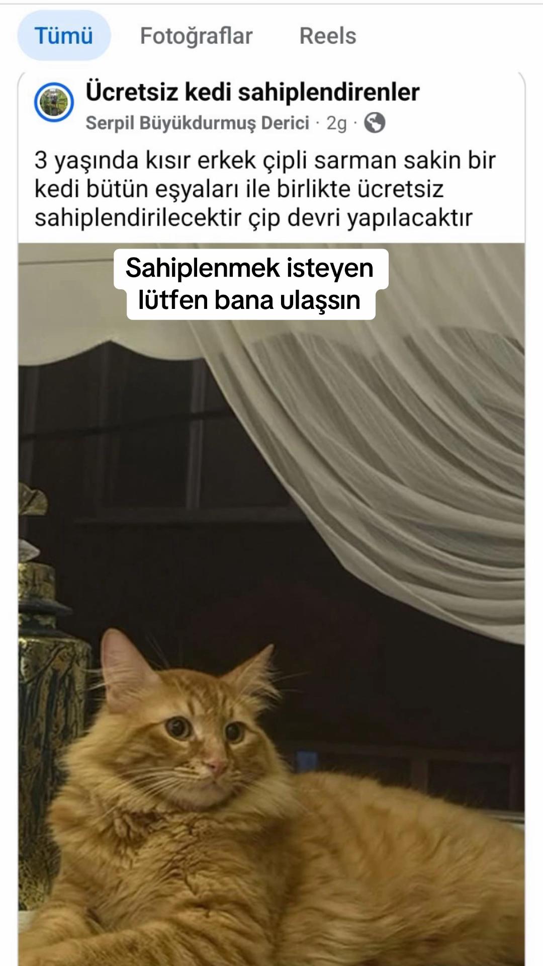 @Gönülünpatileri