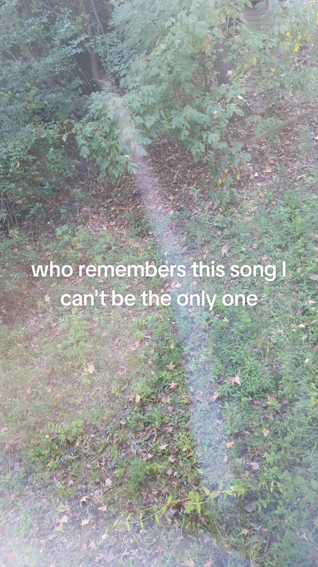 @emi🕷️🕸️