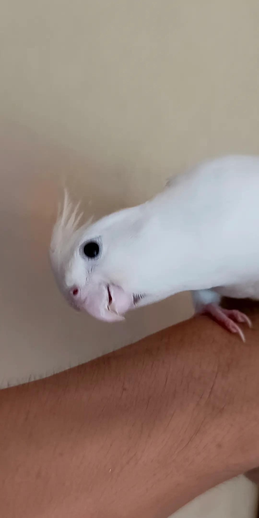 @𝑺𝒖𝒑𝒆𝒓𝑴𝒂𝒓𝒊𝒐