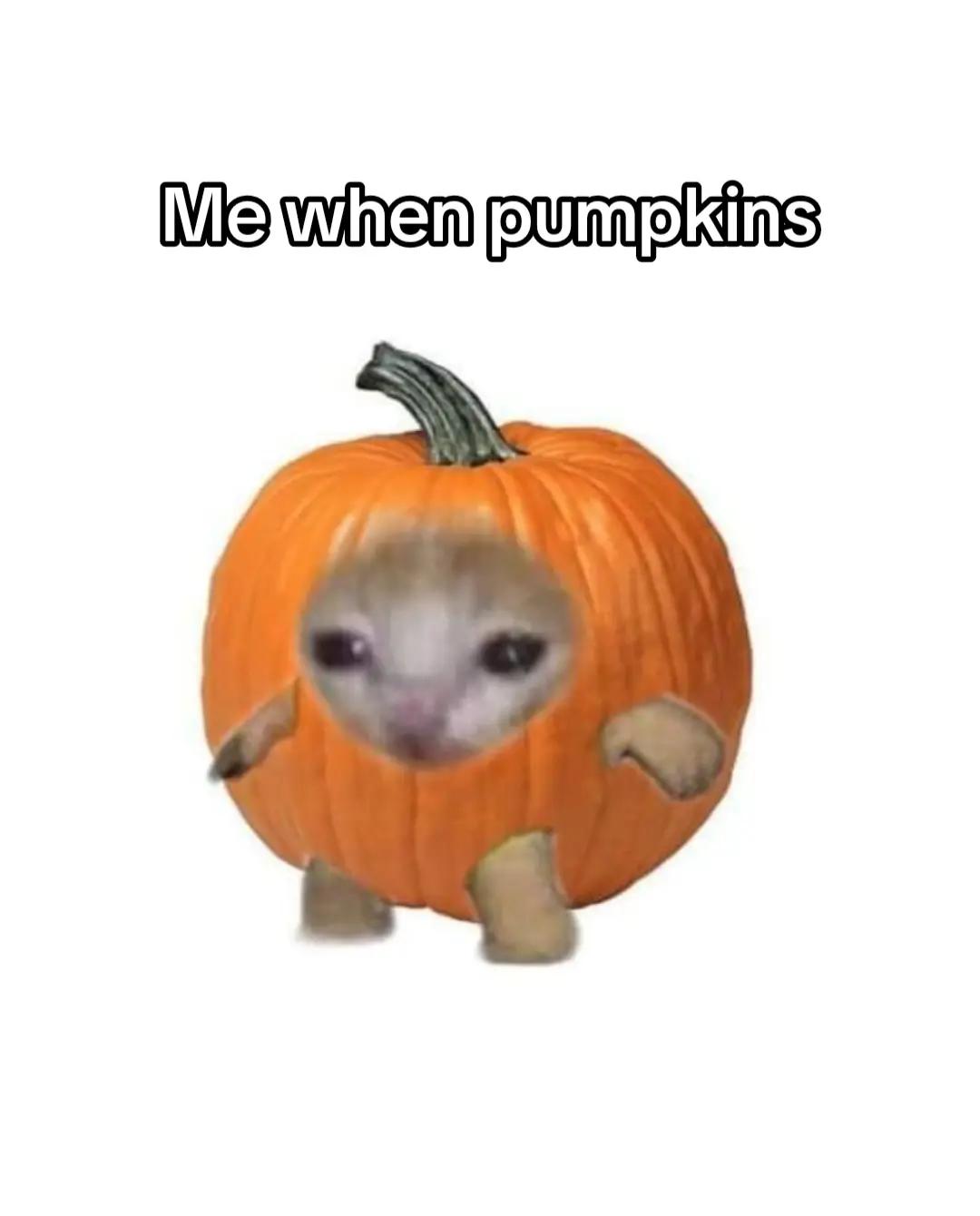 @𝓜𝓪𝓻𝓲𝓷𝓪