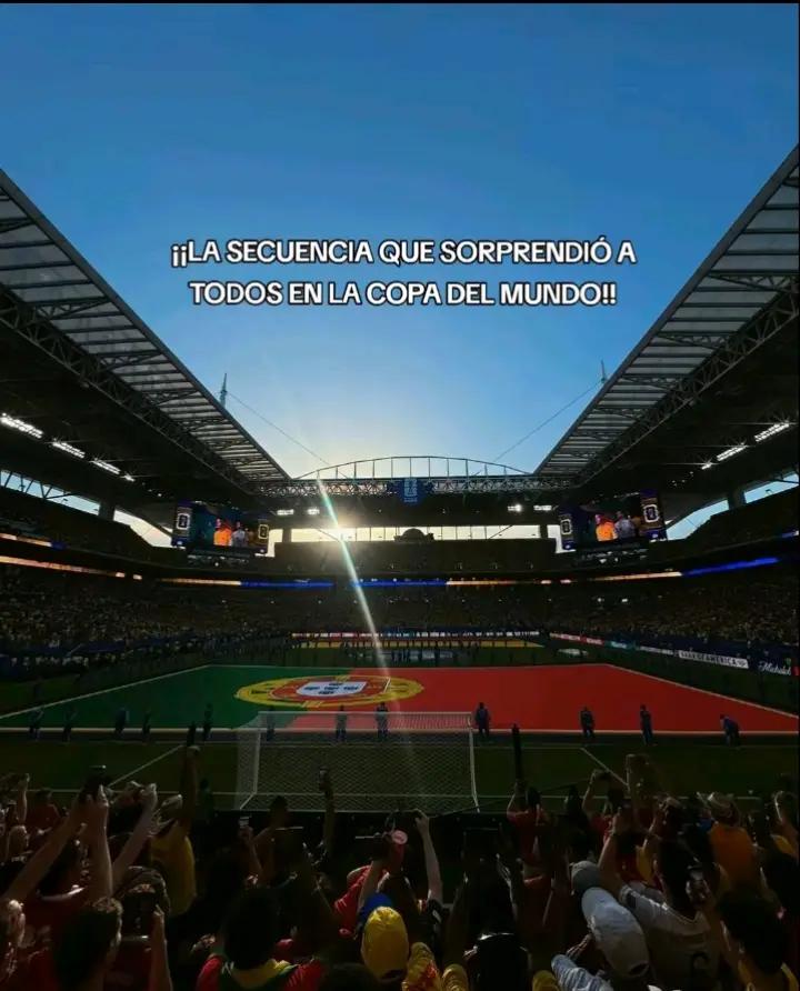@Mateo Castellon