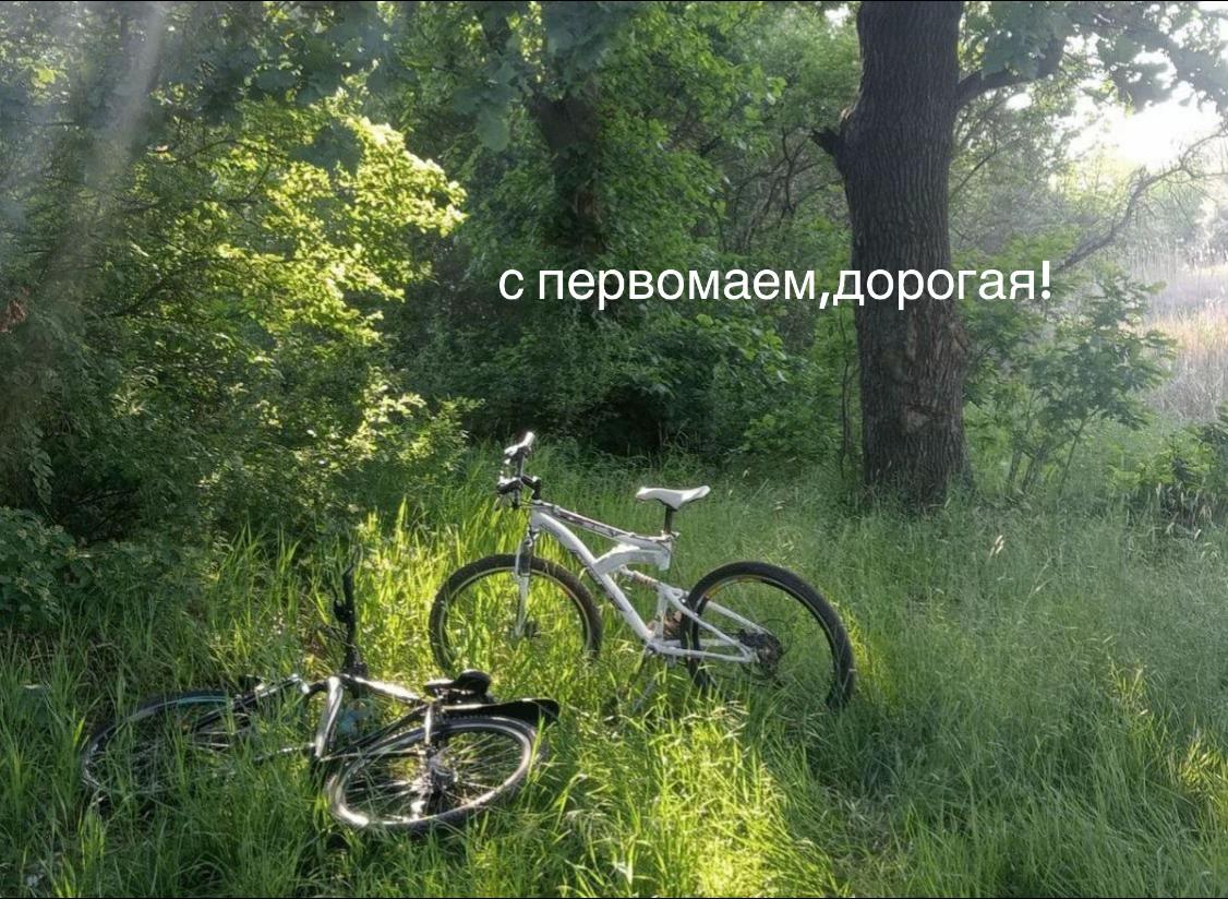 @lonely