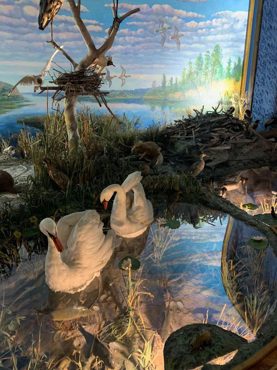 @🐥