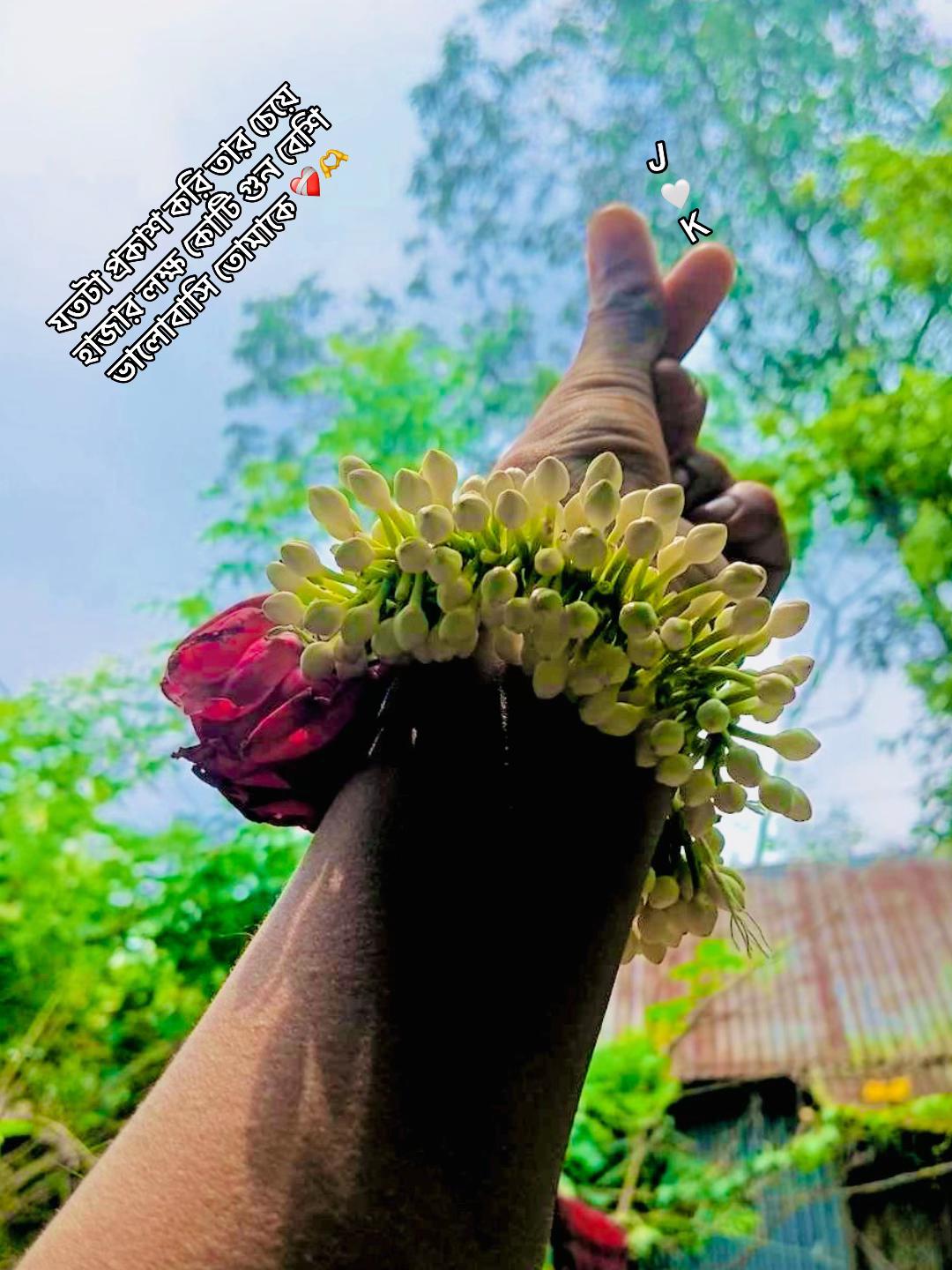@JAFUR_Nabab 🧠💸