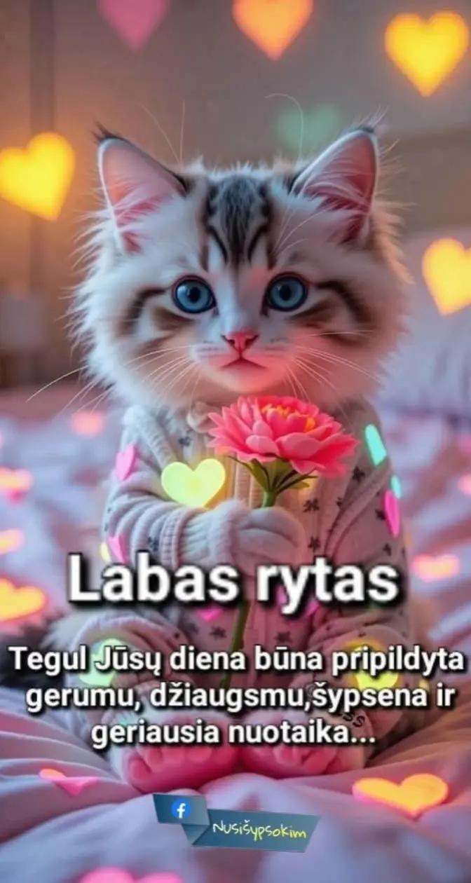 @lietus