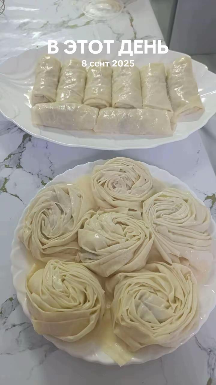 @torty_ot_jibeka