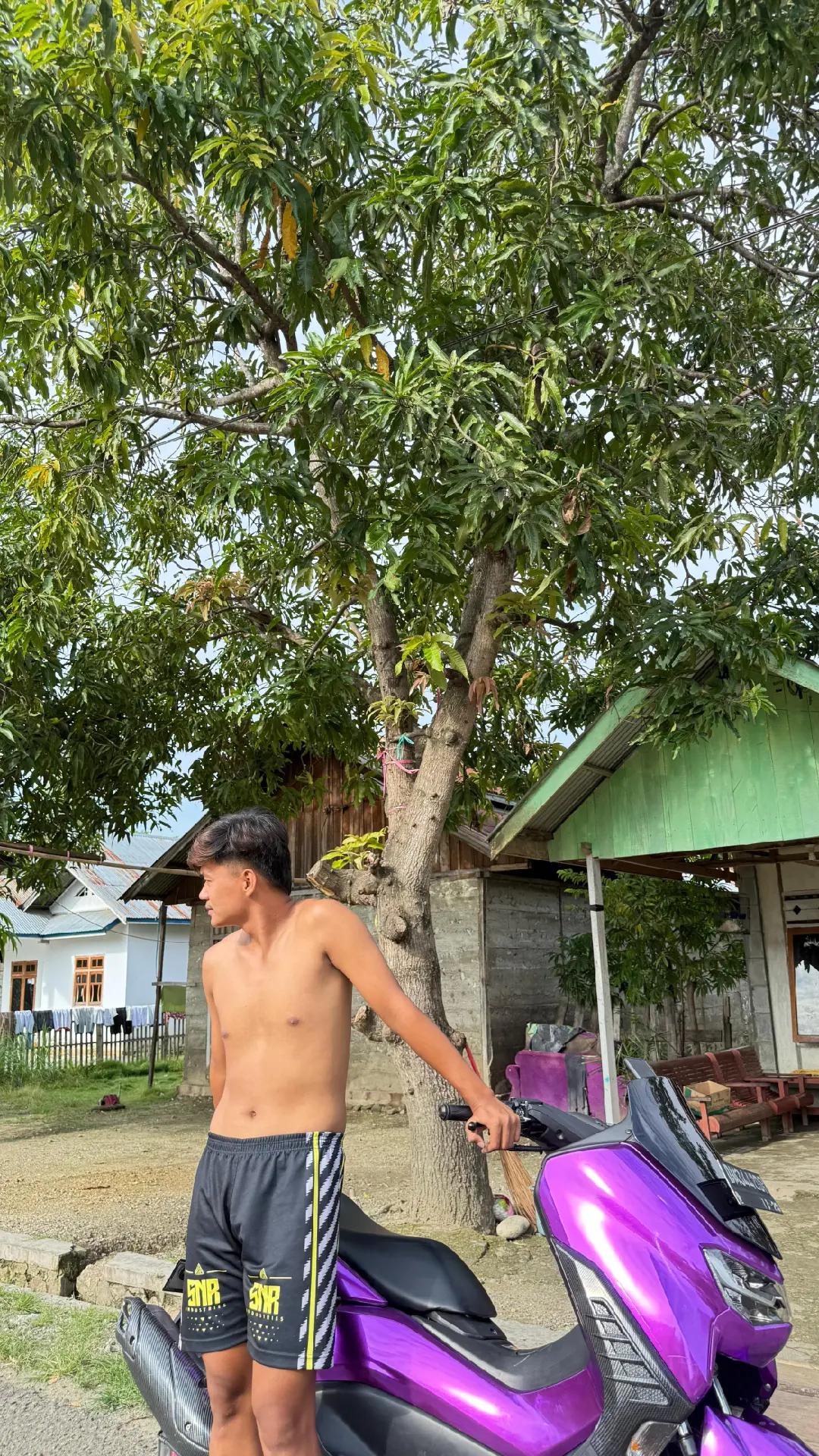 @Novalino