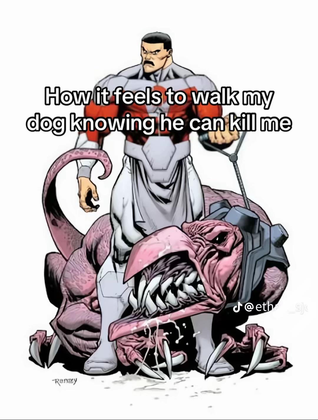 @maya