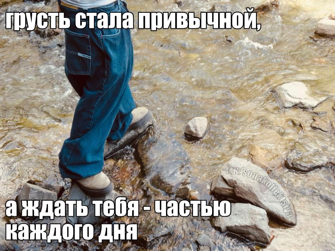 @коллекционер щп