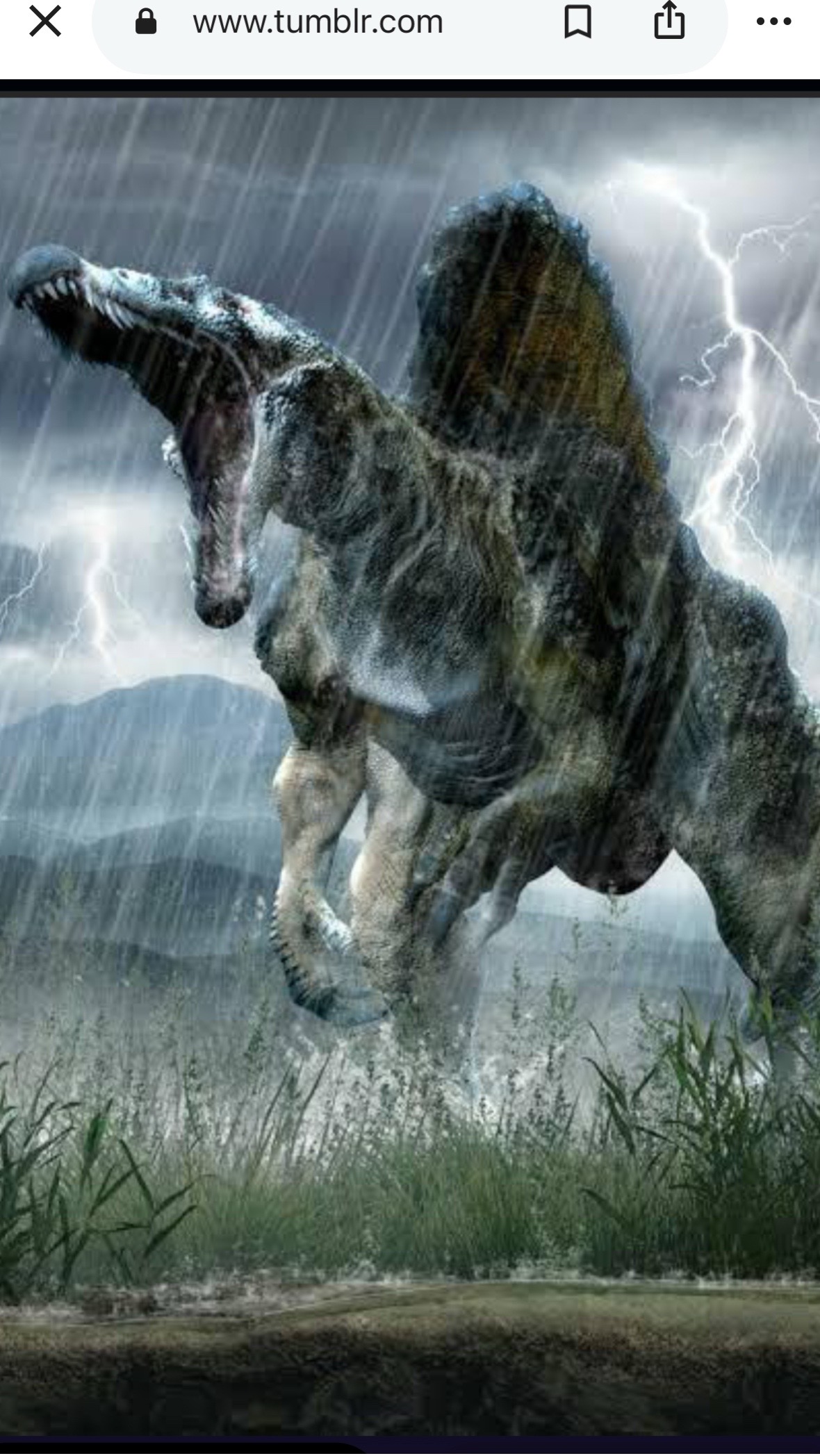 @T-Rex gamer172