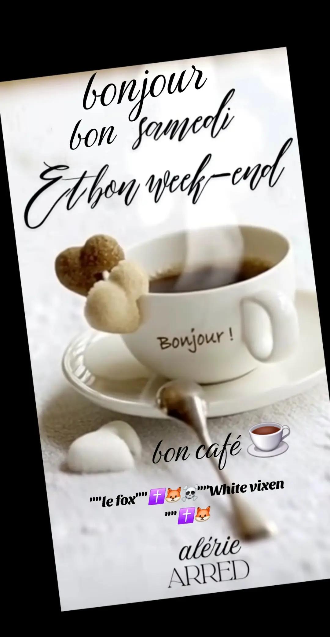 @🇫🇷Le fox✝️🦊☠️white vixen✝️