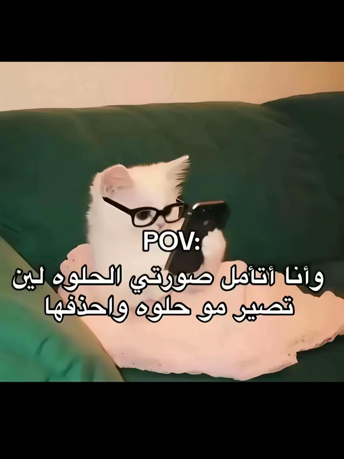 @ʟʏɴᴀ