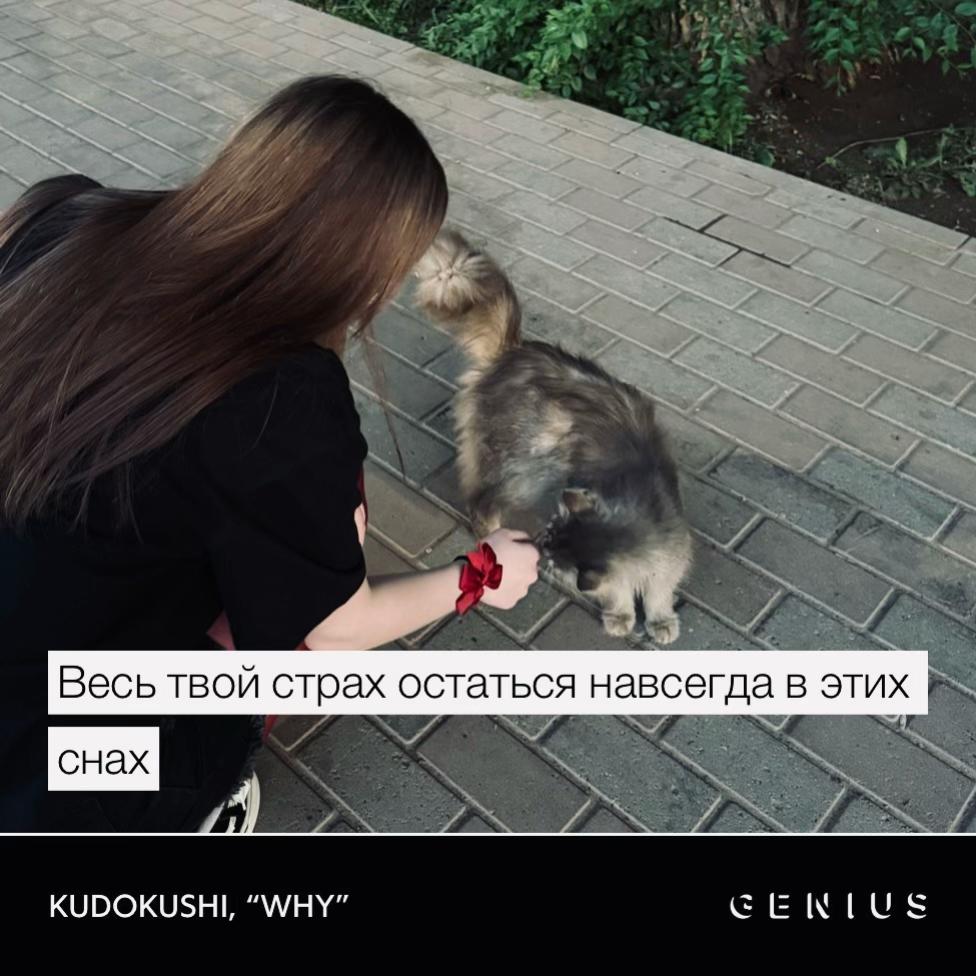 @Viaris