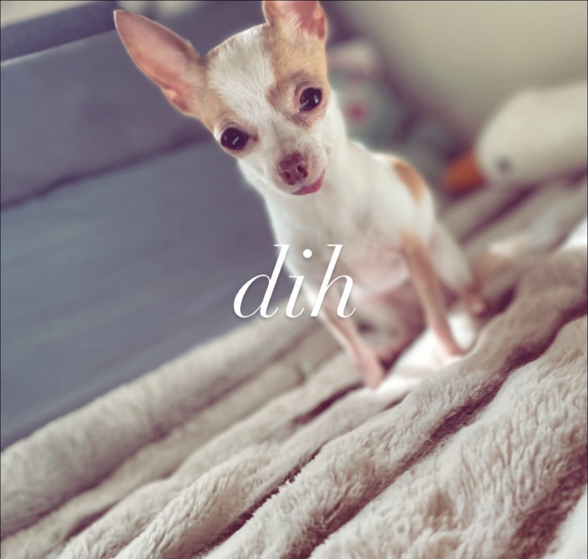 @lUcOz∀dE