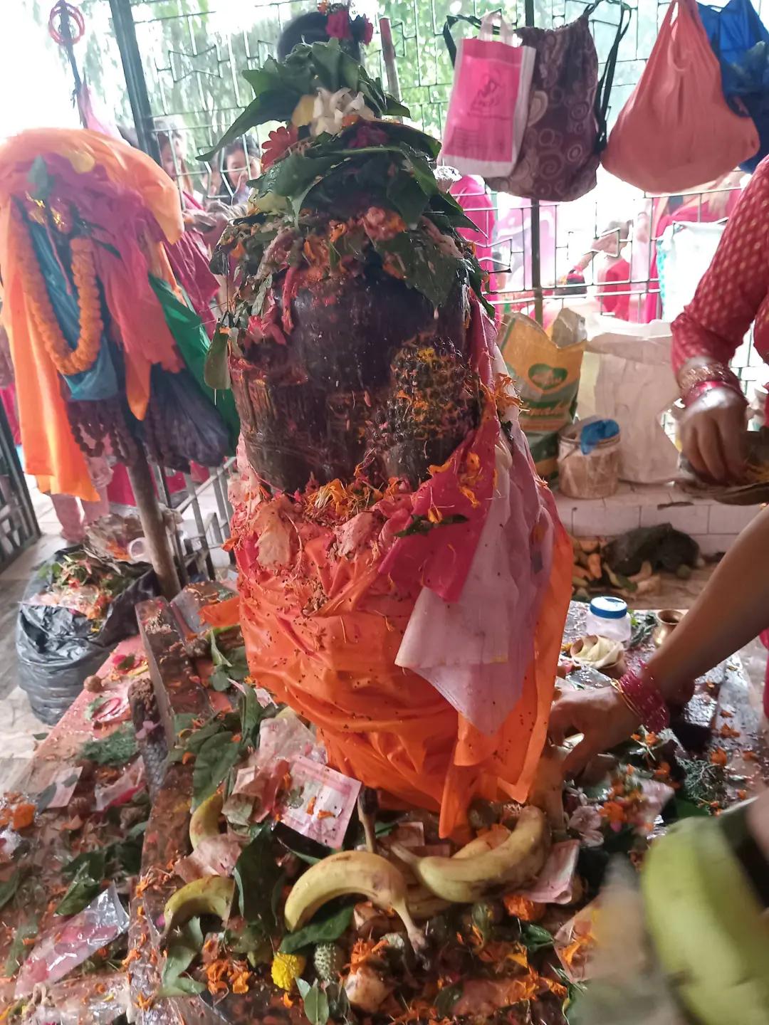 @Gita Thakur