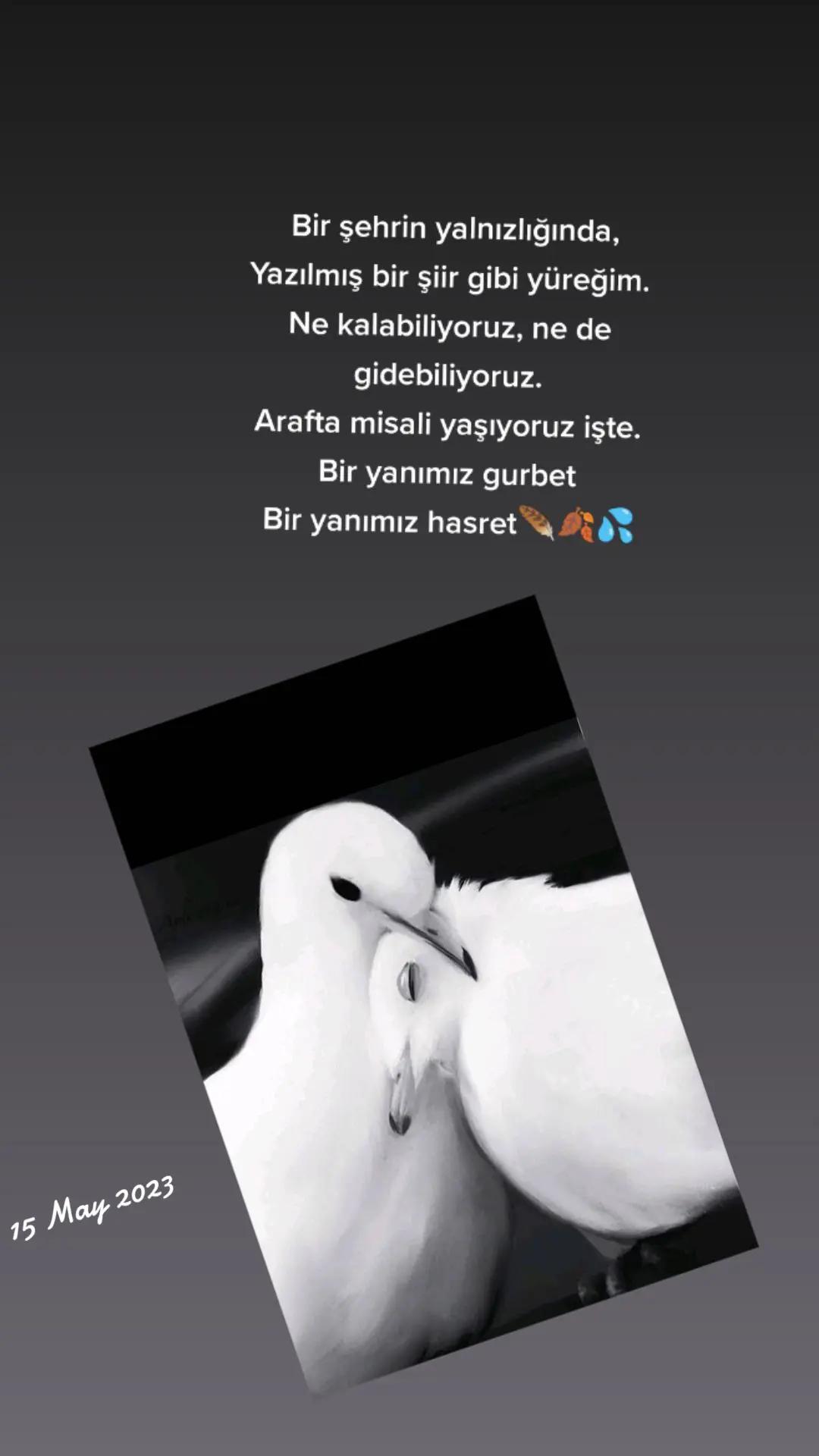 @H@y@lb@nk⤵️⤵️⤵️