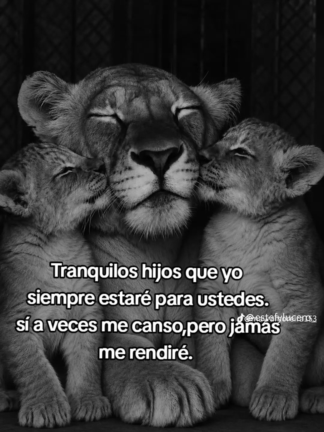@mariuxiasmal4