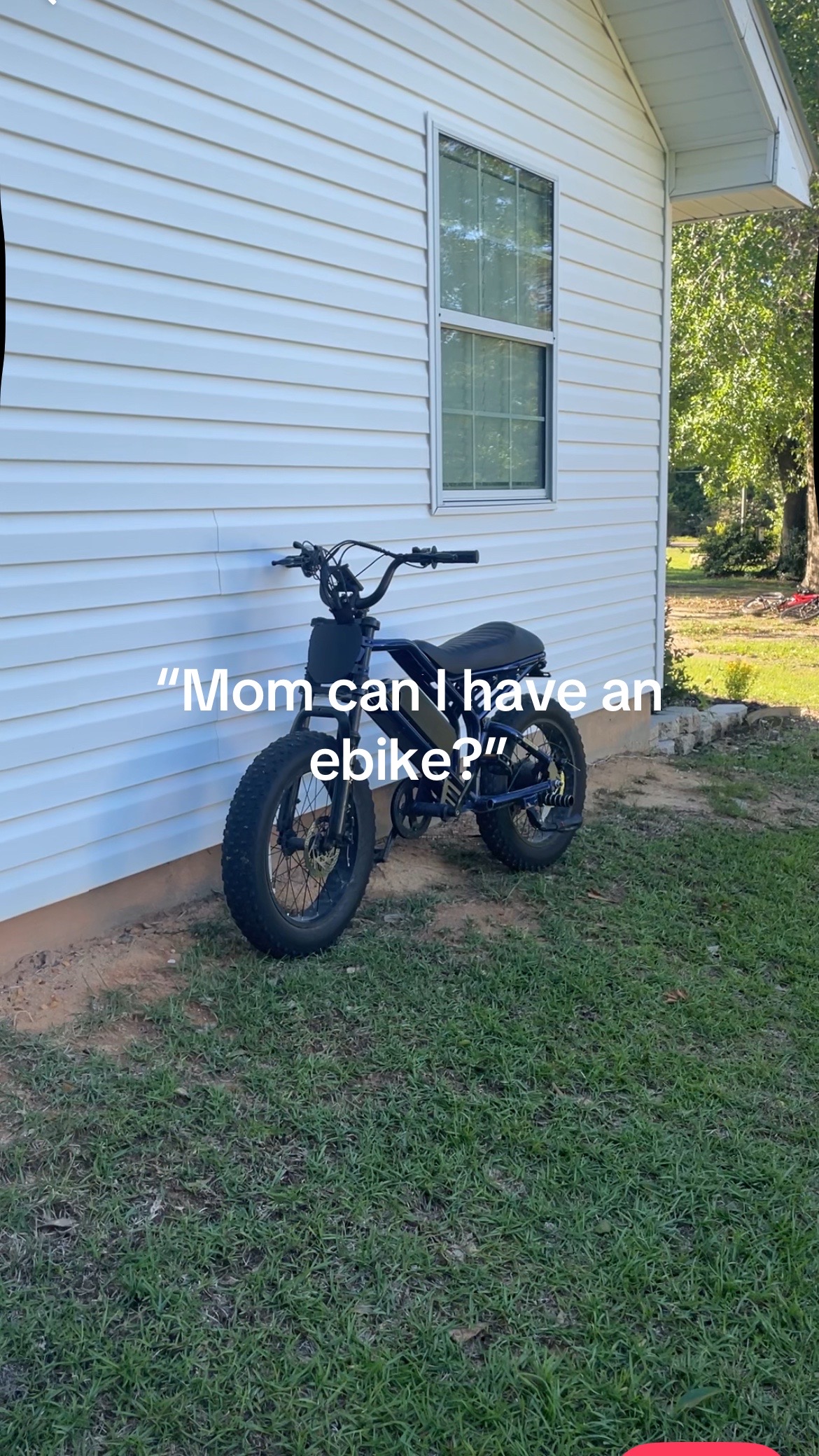 @Ryan🦭