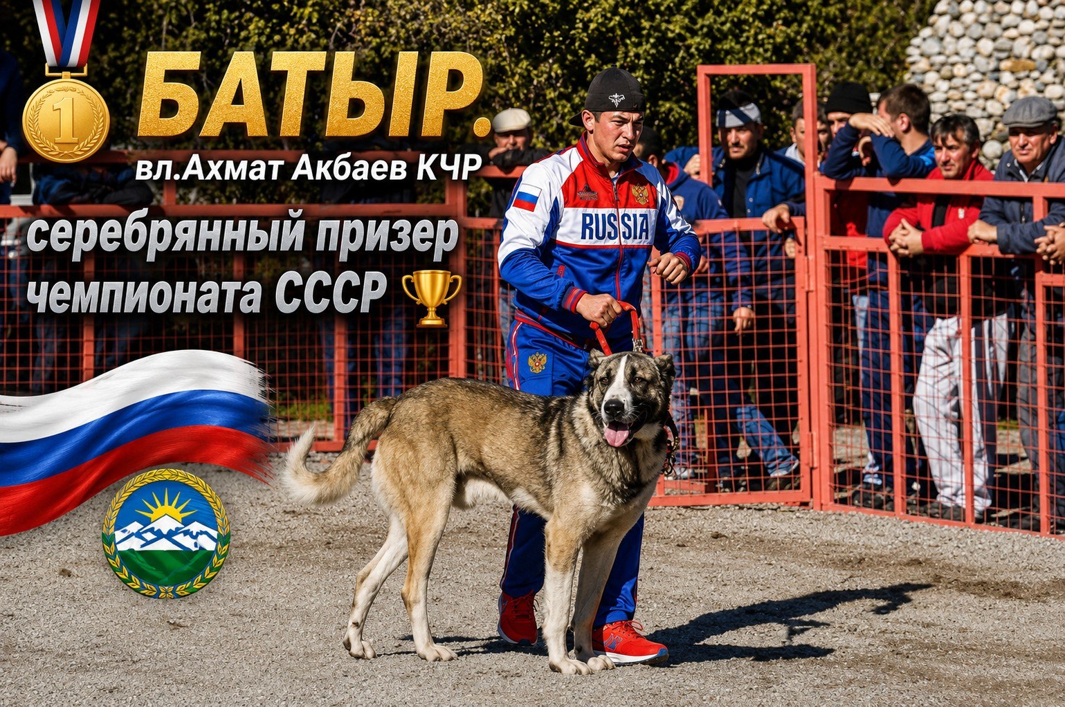 @Собачьи Легенды