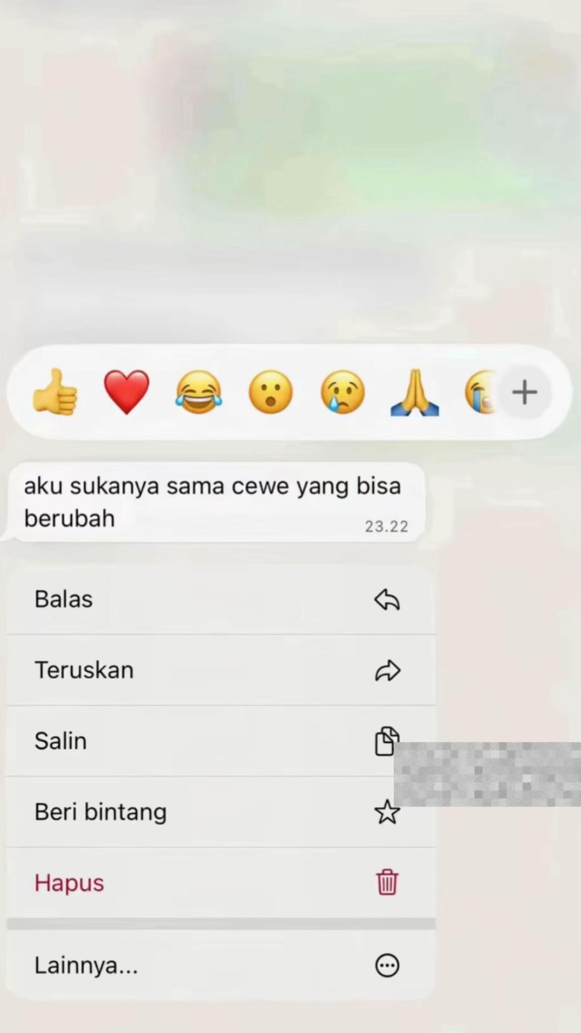 @syachaan
