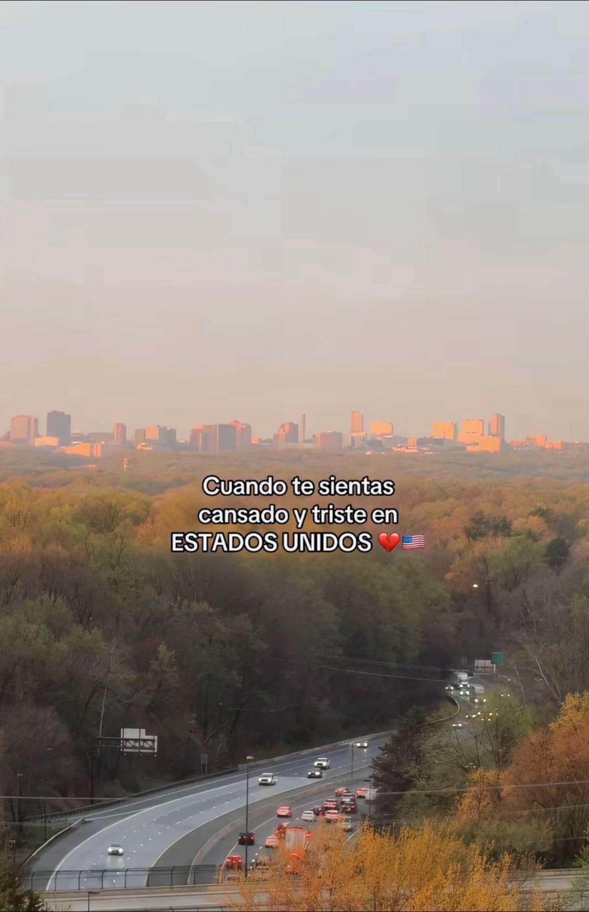 @🥀A R I A D N E ✨️🍄