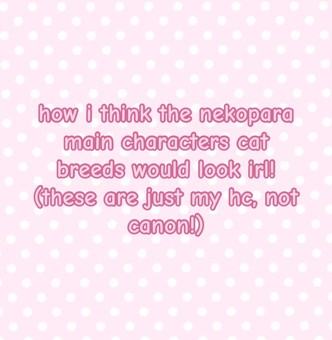 @𑣲𝓓.