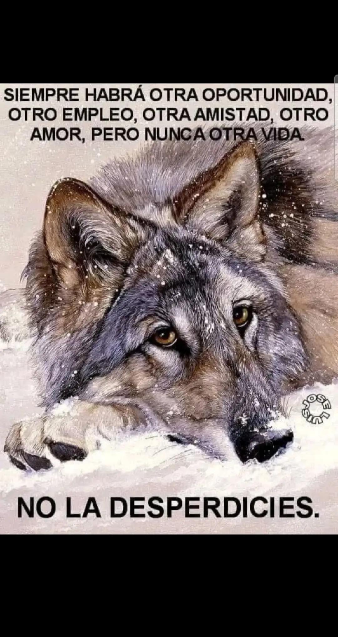 @🐺🐺 EMILIO loureda🔥🔥#