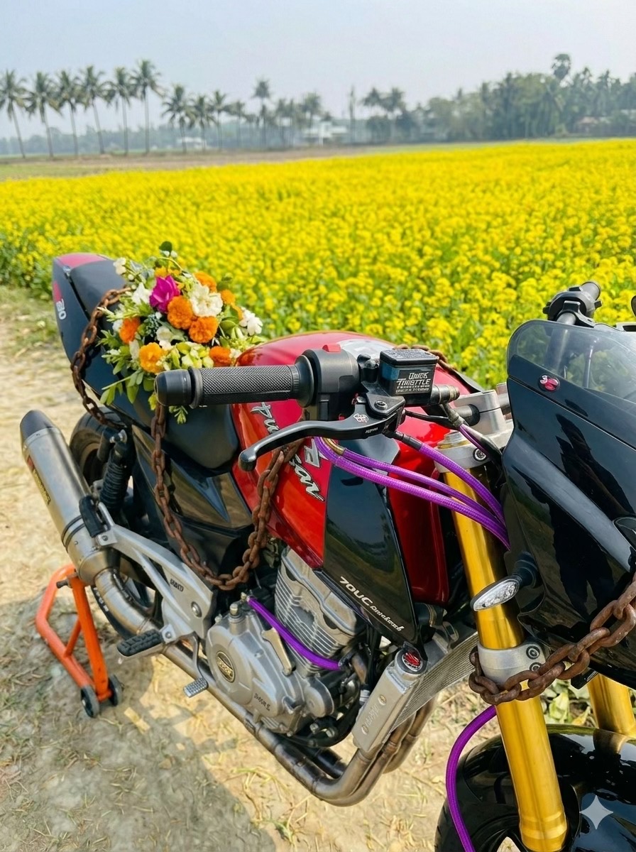 @Bunny Rider 20K❓