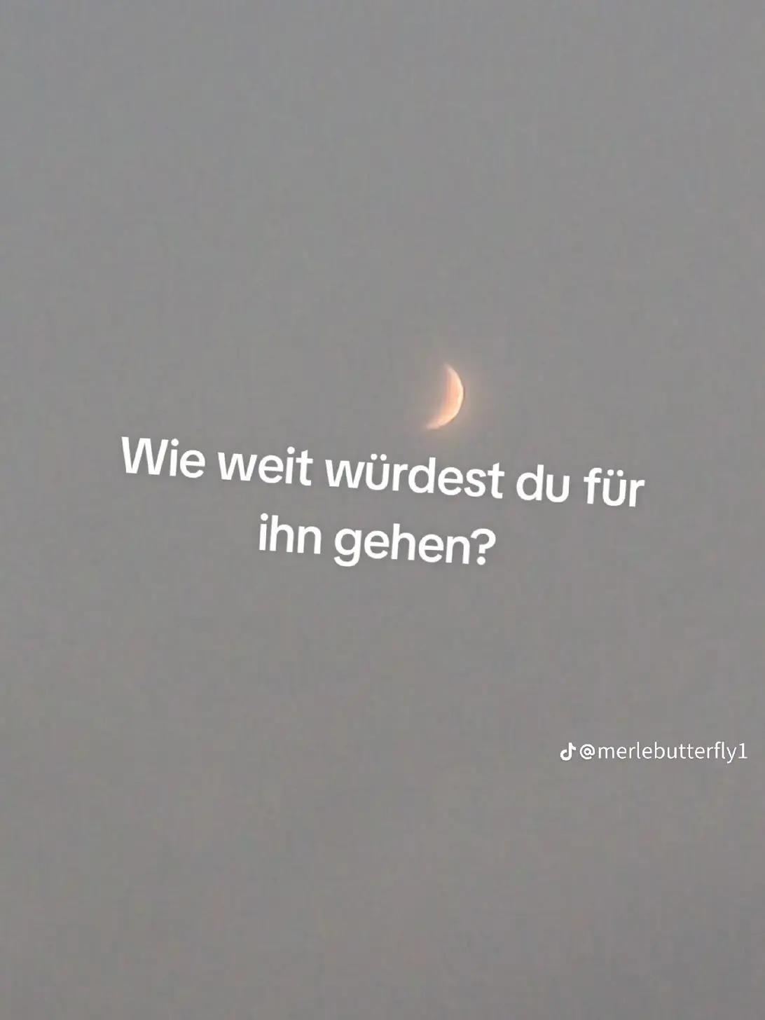 @kleiner Kampfzwerg 🤭❤️